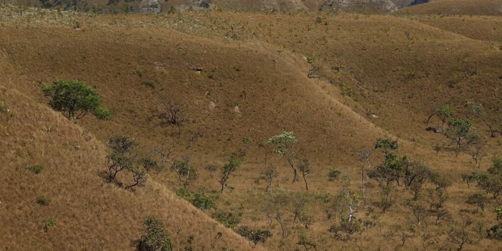 mapbiomas:-fragmentacao-de-areas-naturais-triplicou-em-40-anos-no-pais